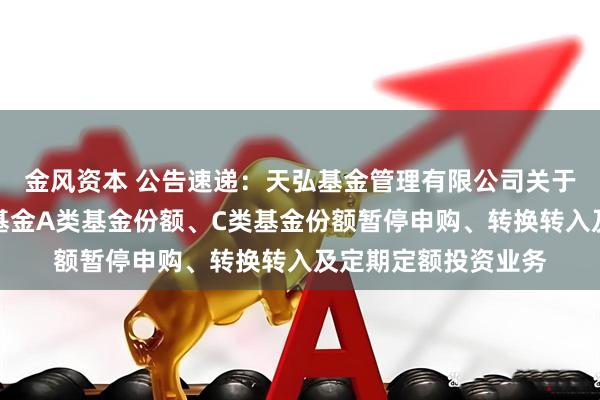 金风资本 公告速递：天弘基金管理有限公司关于天弘价值驱动混合基金A类基金份额、C类基金份额暂停申购、转换转入及定期定额投资业务