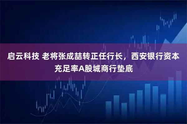 启云科技 老将张成喆转正任行长，西安银行资本充足率A股城商行垫底