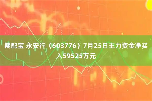 期配宝 永安行（603776）7月25日主力资金净买入59525万元